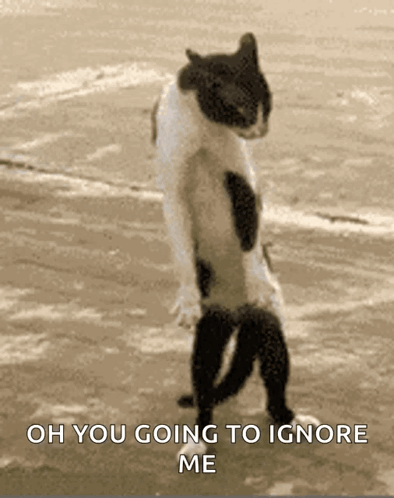 Oh You Ignoring Me GIF