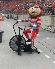 Ohio Meme Mascot Riding Stationary Bike GIF