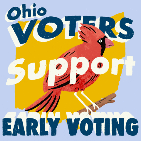 Ohio Meme Voters Support Early Voting GIF