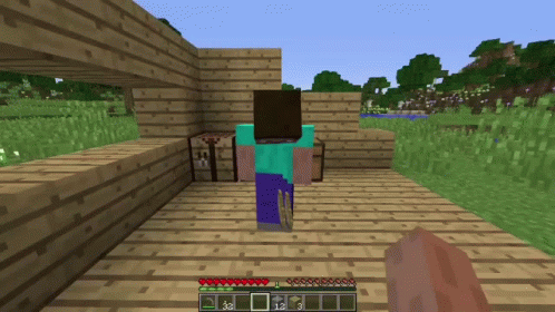 Ohio Minecraft Game GIF