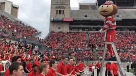 Ohio State Band And Mascot Brutus Buckeye GIF