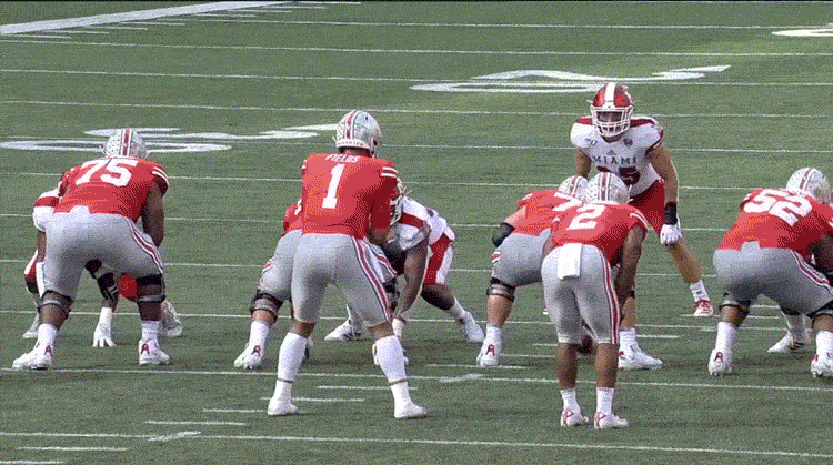 Ohio State Buckeyes Football Team On Field GIF