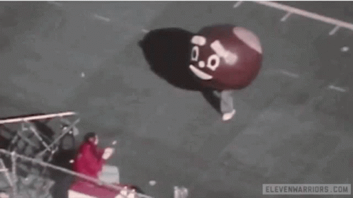 Ohio State Buckeyes Go Bucks GIF