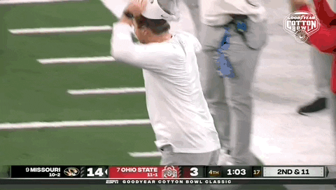 Ohio State Buckeyes Mizzou GIF