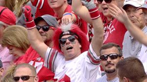 Ohio State Fan With Crazy Hair GIF