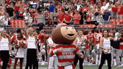 Ohio State Mascot Brutus Buckeye Celebrating GIF