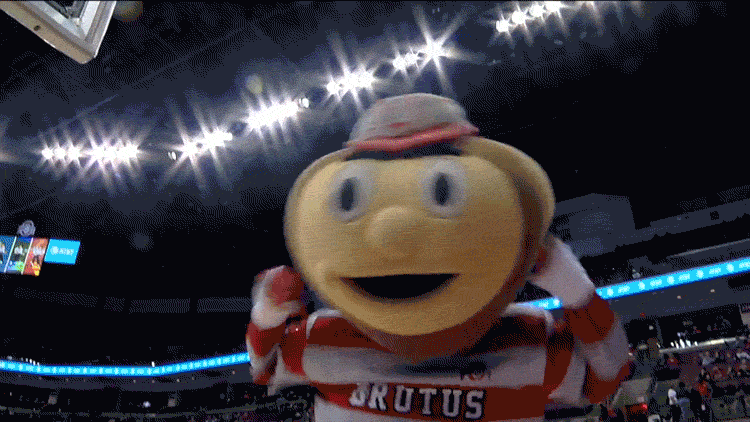Ohio State Mascot Brutus Buckeye Nodding GIF