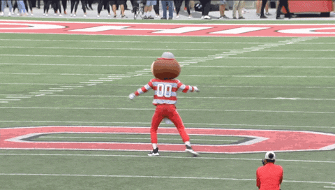 Ohio State Mascot Brutus Buckeye On Field GIF
