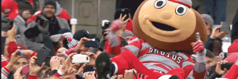 Ohio State Mascot Brutus Buckeye Punching Himself GIF