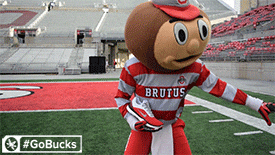 Ohio State Meme Buckeyes Football Team Mascot GIF