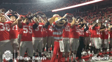 Ohio State Team Exercising With Brutus Buckeyes GIF