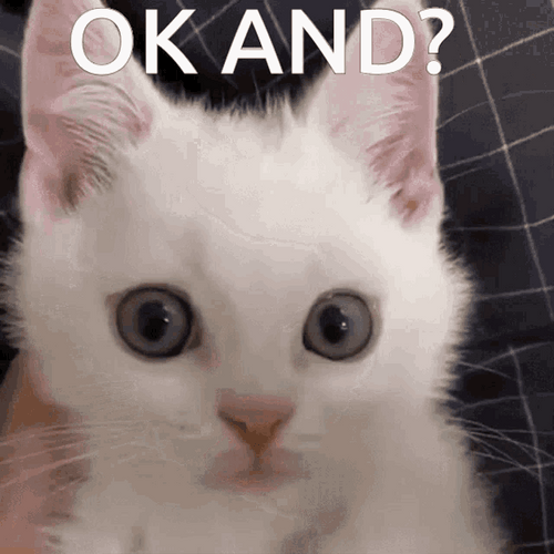 Ok And Cat GIF