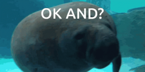 Ok And Manatee GIF