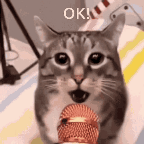 Ok Meme Cat Singing Mic Microphone GIF