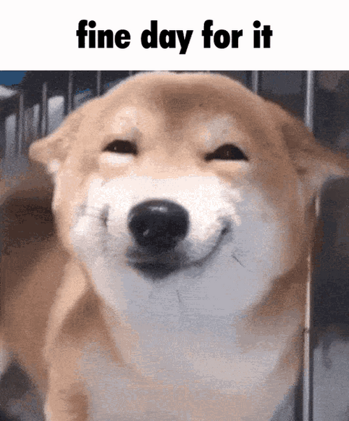 Ok Meme Fine Day For It Smiling Dog GIF