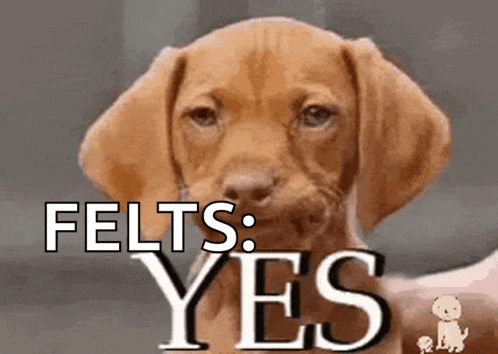 Ok Oh Yes Yes O Yeah Yes No Yes Go On Yea Yes Gif GIF