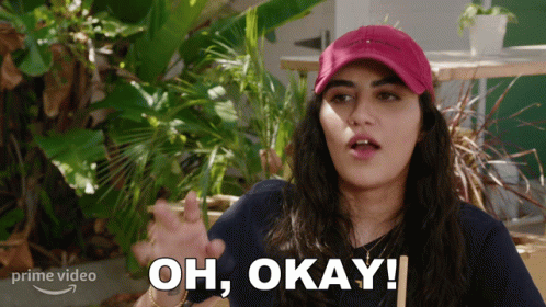 Ok Then Shiva Pishdad GIF