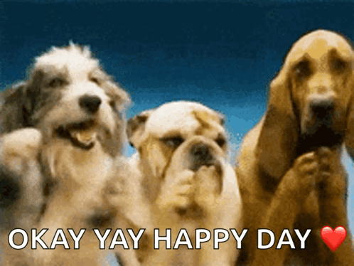 Okay Happy Yay Dog Day GIF