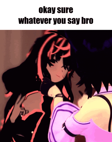 Okay Sure Whatever You Say Bro