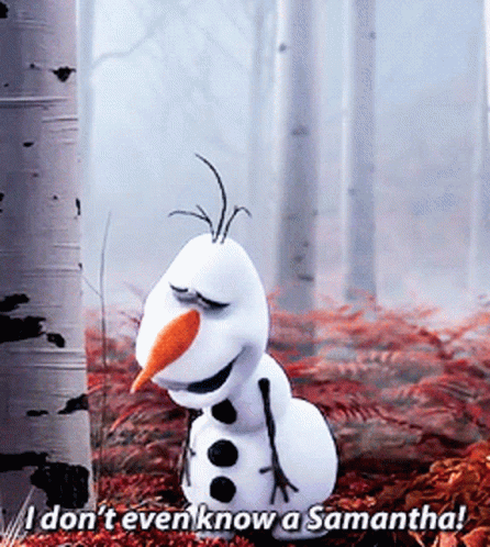 Olaf Frozen Didnt Know Samantha GIF