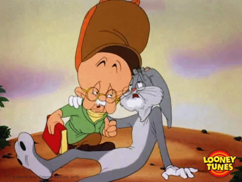Old Elmer Fudd Old Bugs Bunny GIF