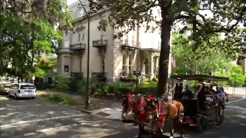 Old Georgia Ancestral Area GIF