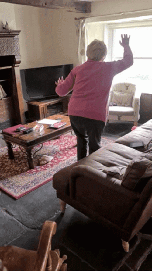 Old Lady Dance Winner Winner Chicken Dinner GIF
