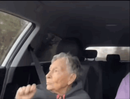 Old Lady Enjoying The Ride GIF