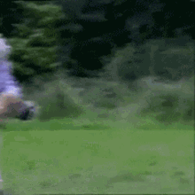 Old Lady Walking The Dog GIF