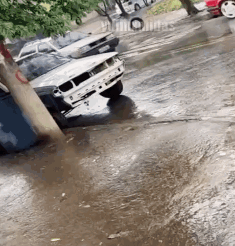 Old Laughing Car Meme GIF