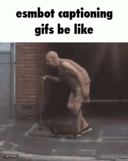 Old Man And Dog Pair Walking Slow GIF