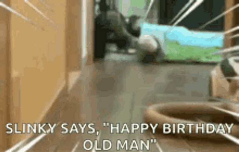 Old Man Birthday Cute Pet Running GIF