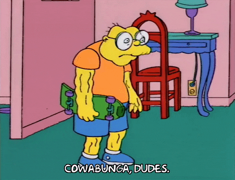 Old Man Hans Moleman Cowabunga Dudes GIF