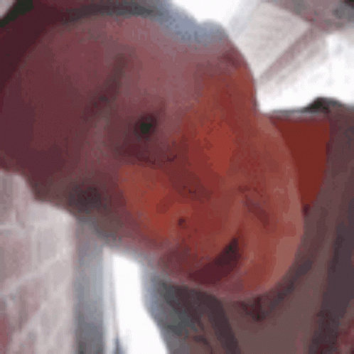 Old Man Saying Open The Noor Meme GIF