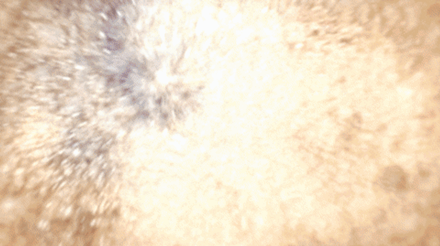 Old Man Want To Cheers To You GIF
