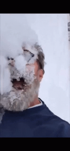 Old Men Fighting In The Snow GIF