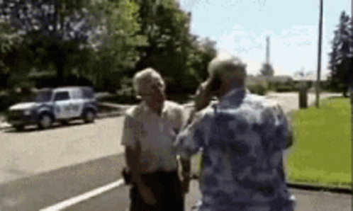 Old Men Punching And Fighting GIF