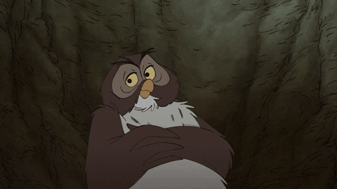 Old Owl Acting Innocent What GIF
