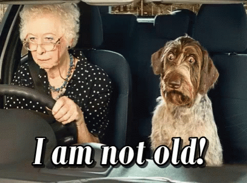Old People Driving Car GIF