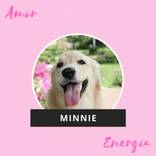 Old Yeller True Dogs GIF