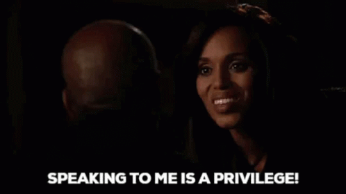 Olivia Pope Speaking To Me Is A Privilege GIF