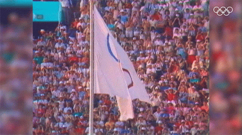 Olympic Flag Rings Up High GIF