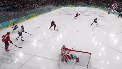 Olympic Hockey Game