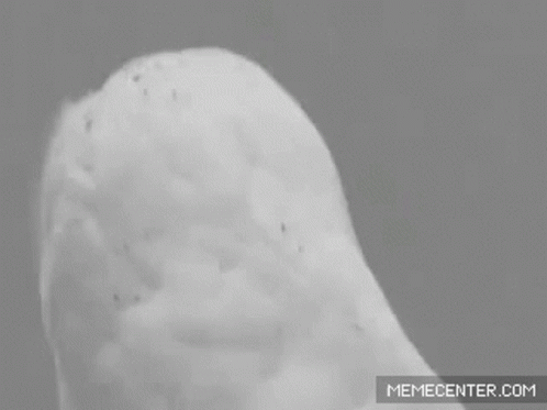 Omg Just When I Thought Ive Seen It All GIF