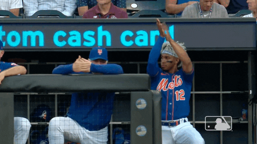 Omg Mets Cheering On The Sideline GIF