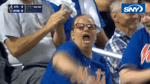 Omg Mets Hyped Up Fans Cheering GIF
