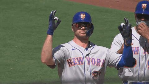 Omg Mets Pete Alonso Rallying Crowd GIF