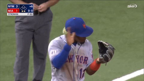 Omg New York Mets Lets Go GIF