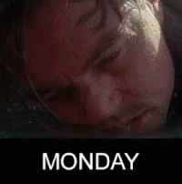 On A Tuesday Leonardo Dicaprio GIF