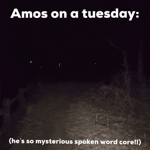 On A Tuesday Scary Dark Night Stroll GIF